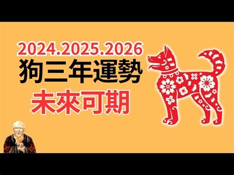 1982屬狗十年運勢|【1982屬狗十年運勢】1982屬狗十年大運預測：41歲後將迎來人。